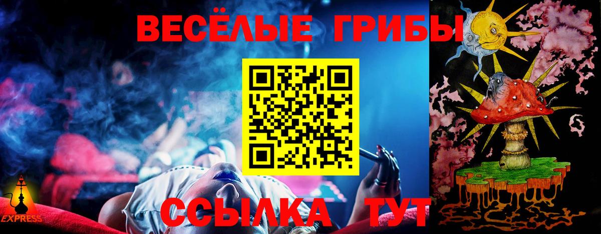 Котлас  Галлюциногенные грибы Cubensis  Вход с VPN 