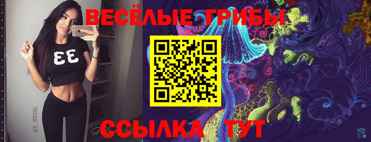 Псилоцибиновые грибы Cubensis Котлас